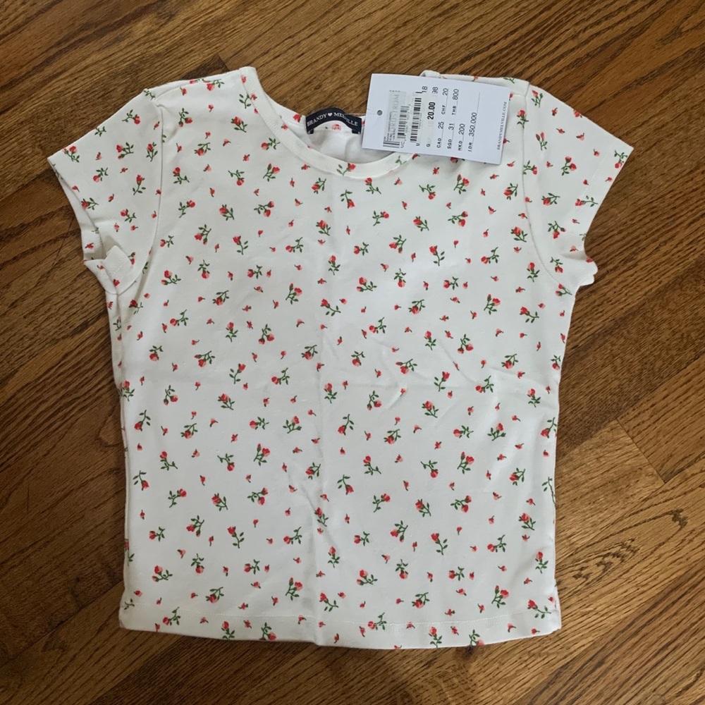 Brandy Melville Floral Cropped Tee